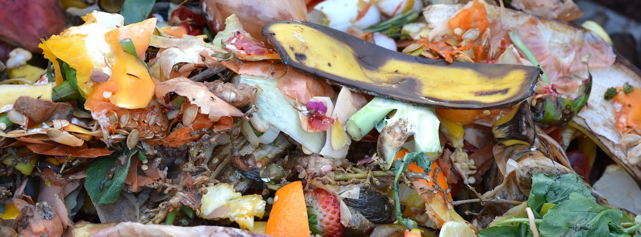Valorisez vos déchets grâce au composteur de cuisine – Coopérative